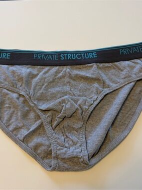 Men’s Gray Briefs with Black & Teal Waistband Private Structure